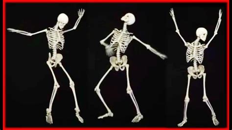 Dancing Bones bet365